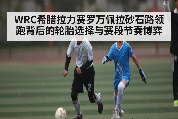WRC希腊拉力赛罗万佩拉砂石路领跑背后的轮胎选择与赛段节奏博弈